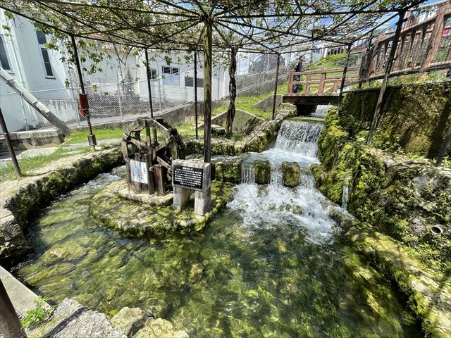 沖縄県のその他川遊び 湖遊びの予約 日本旅行 オプショナルツアー・アクティビティ・遊びの体験予約