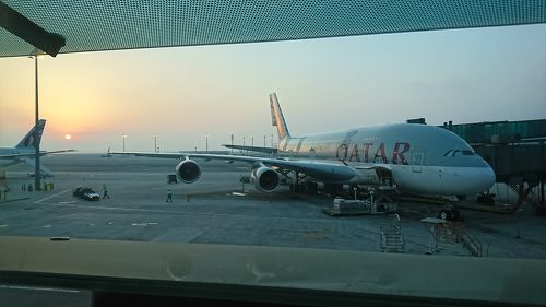 初めて1人でヨーロッパ‼︎ ３ ハマド空港トランジット