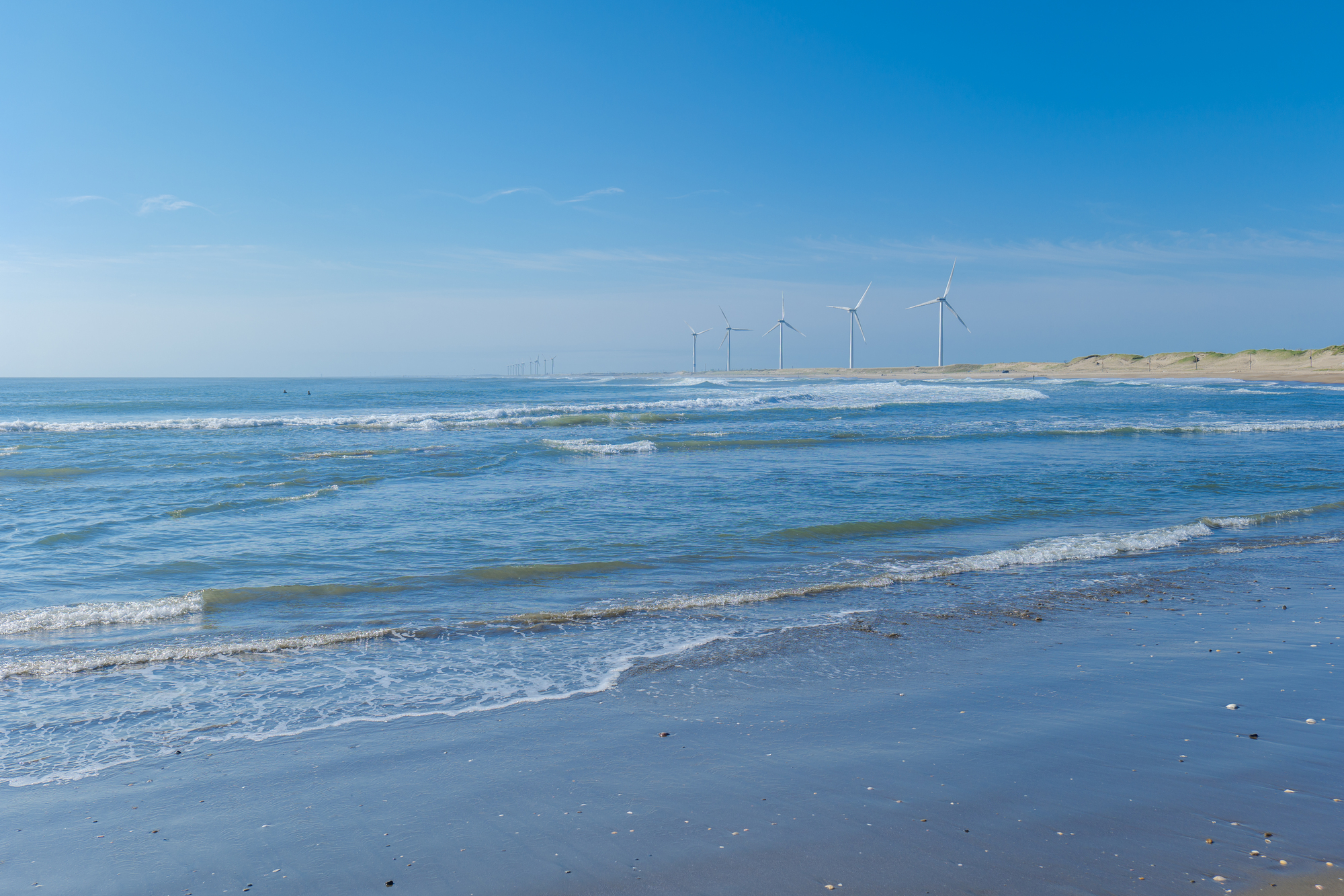 海辺 ピクニック 関東TikTok