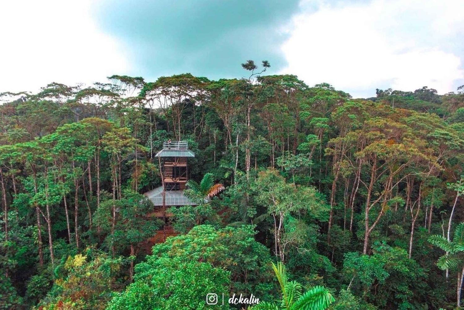 ジャングル・クルーズ 字幕版CINE QUINTO渋谷ロフト横 シネクイント