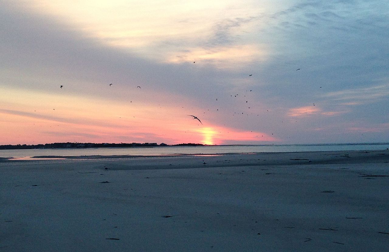 サウスカロライナ州 - Wikiwand