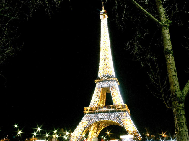 エッフェル塔フランス フランスの首都パリの象徴ともいえるエッフェル塔。高さ約330mを誇り、1階、2階、最上階の見学が可能です。各階の展望エリアから眺めるパリ市内の絶景はまさに格別👏👀 夜になると華やかなライトアップも楽しめます