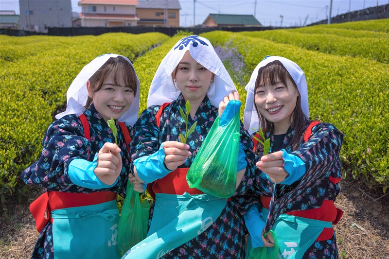 新茶の季節！狭山茶「お茶摘み体験」に行ってきた : ゆとりあるシンプルな暮らし Powered