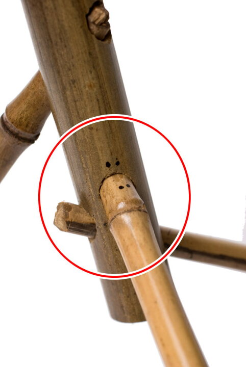 ベトナムの竹琴 トルン約130cm の通販 送料無料- TIRAKITA.COM