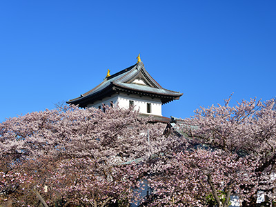 東北三大桜夫婦旅行の旅行記に加え計画からモデルコースまでまとめました