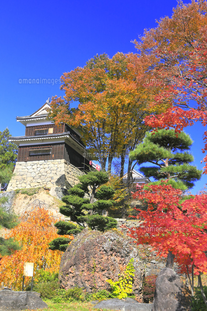 上田城」の写真素材1,485件の無料イラスト画像Adobe Stock