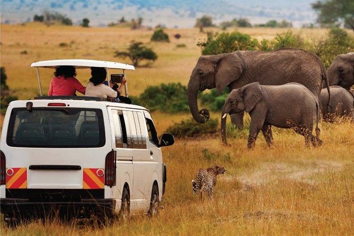ケニア・サファリ旅行② アンボセリ国立公園 – Chika Travel