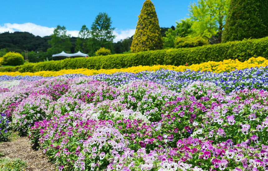 地球をモチーフにした飴も！宮城のおすすめインスタ映えスポット12選 - PREMIUM