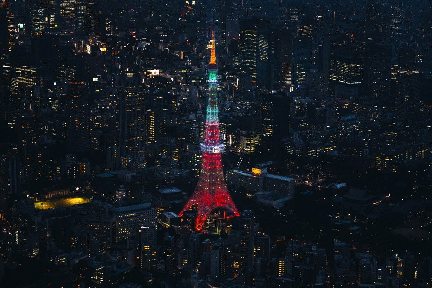 「グッチ日本上陸60年記念」特別ライトアップの東京タワ