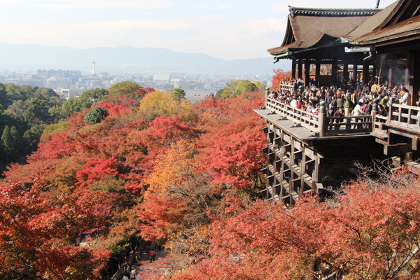清水寺 は絶対に見逃せない世界遺産！歴史や見どころとは？THE GATE日本の旅行観光マガジン・観光旅行情報掲載
