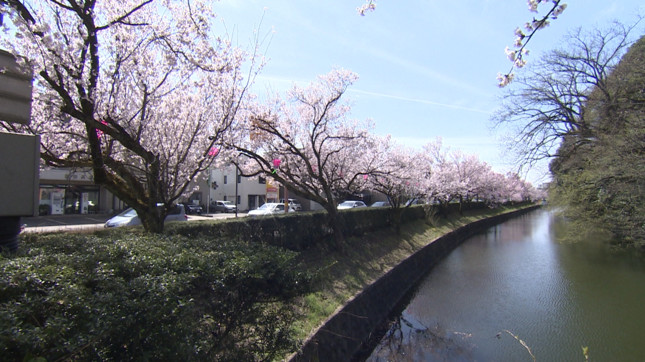 今週のテーマは『高岡古城公園近くのランチ』！今週のおすすめランチ まいぷれ 高岡市