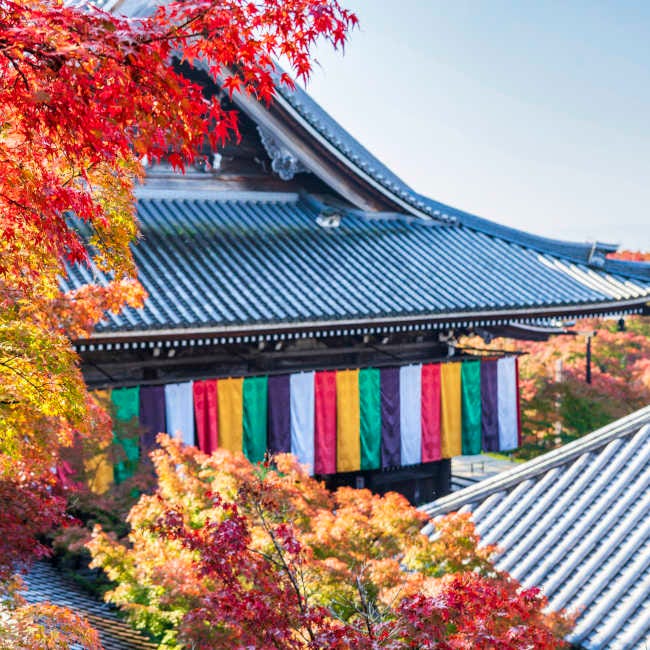 永観堂 禅林寺 のみかえり阿弥陀像京都の紅葉とアクセス・拝観ガイド心整う 仏像旅