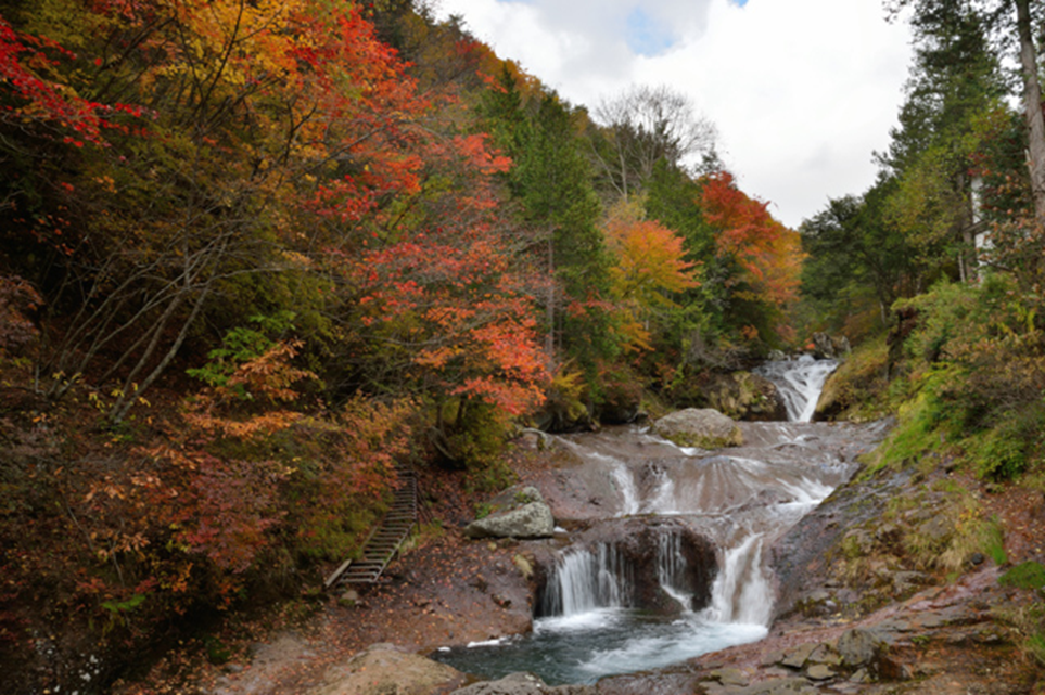 奥蓼科 おしどり隠しの滝・御射鹿池アクセス・営業時間・料金情報 - じゃらんnet