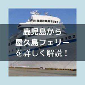 鹿児島空港利用 鹿児島本港から高速船 - レンタカー付「屋久島フリープラン」