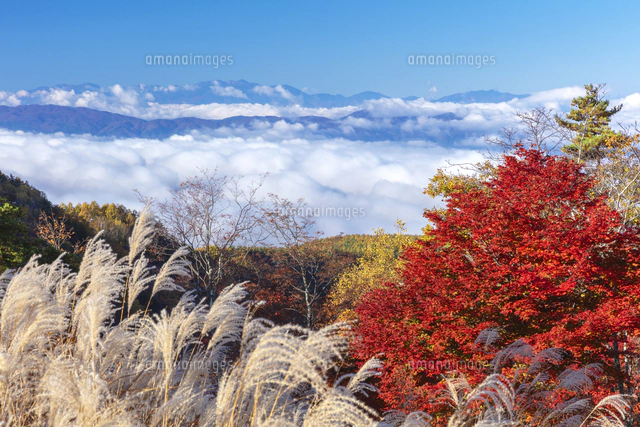 rokoさんの投稿 横谷観音展望台ことりっぷ
