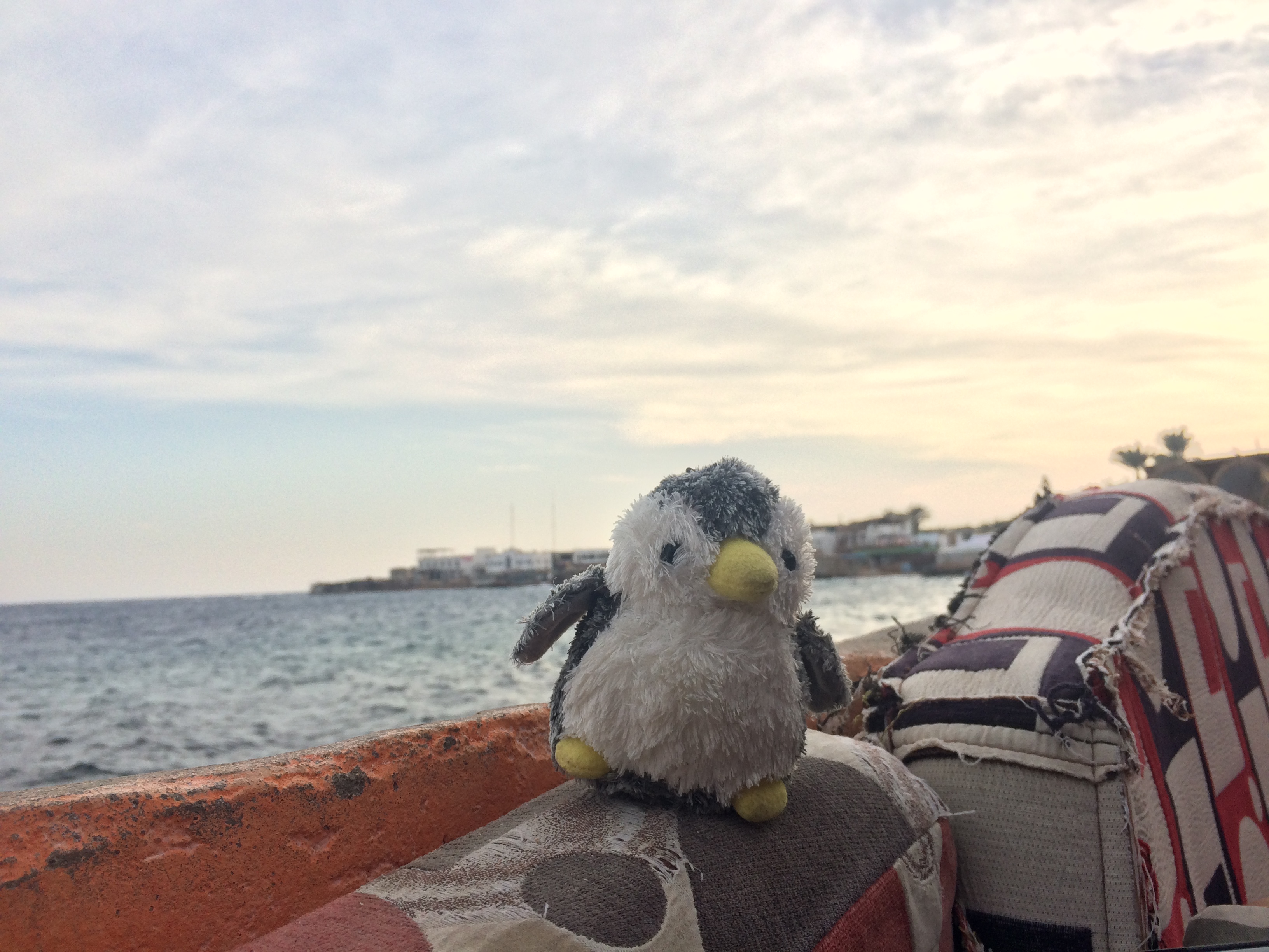 エジプト、ダハブでの5日間のダイビング旅行Getmyboat