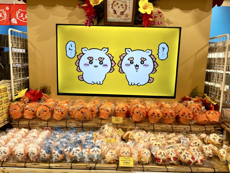 沖縄・国際通り 修学旅行＆女子旅に！かわいくておしゃれなお土産6選♡おきなわ部