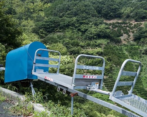 みかんの奇跡・前半harry