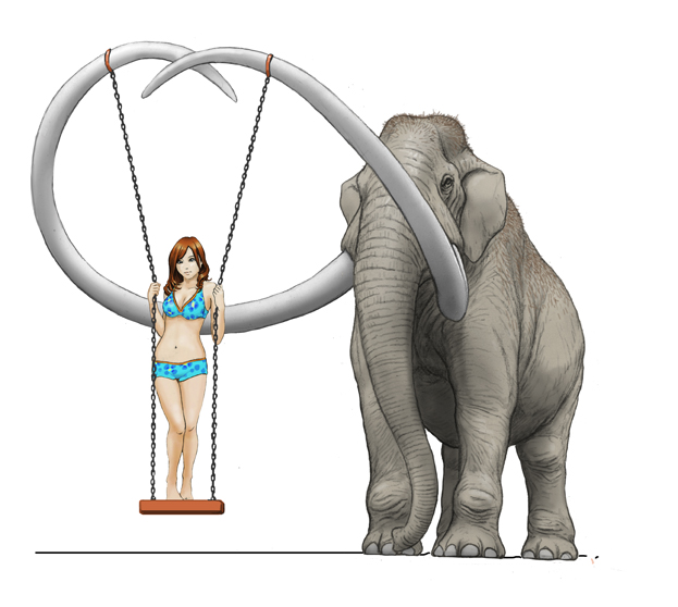 史上最古のDNAを解読 マンモス進化の定説が変わる - 日本経済新聞