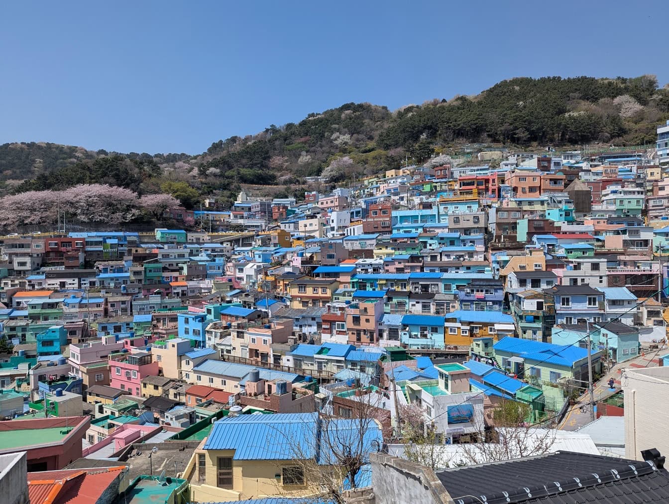 韓国の美しい街並みを探訪する旅2025 年のリアルなLemon8ユーザー体験