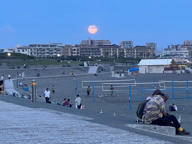 ホームズ 藤沢市鵠沼海岸4期 2号棟藤沢市、小田急江ノ島線 鵠沼海岸駅