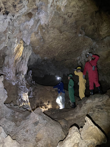 沖縄・宜野座村・ケイビング 手つかずの鍾乳洞へ！松田鍾乳洞を本格探検アソビュ