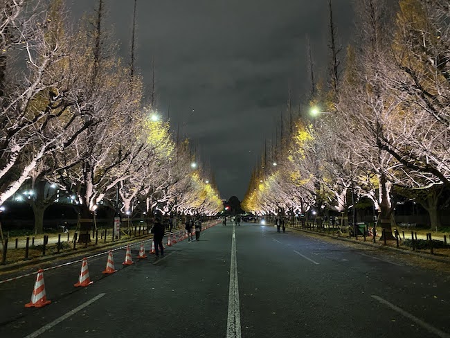 外苑前の銀杏並木アクトデザイン凛太郎のブログ