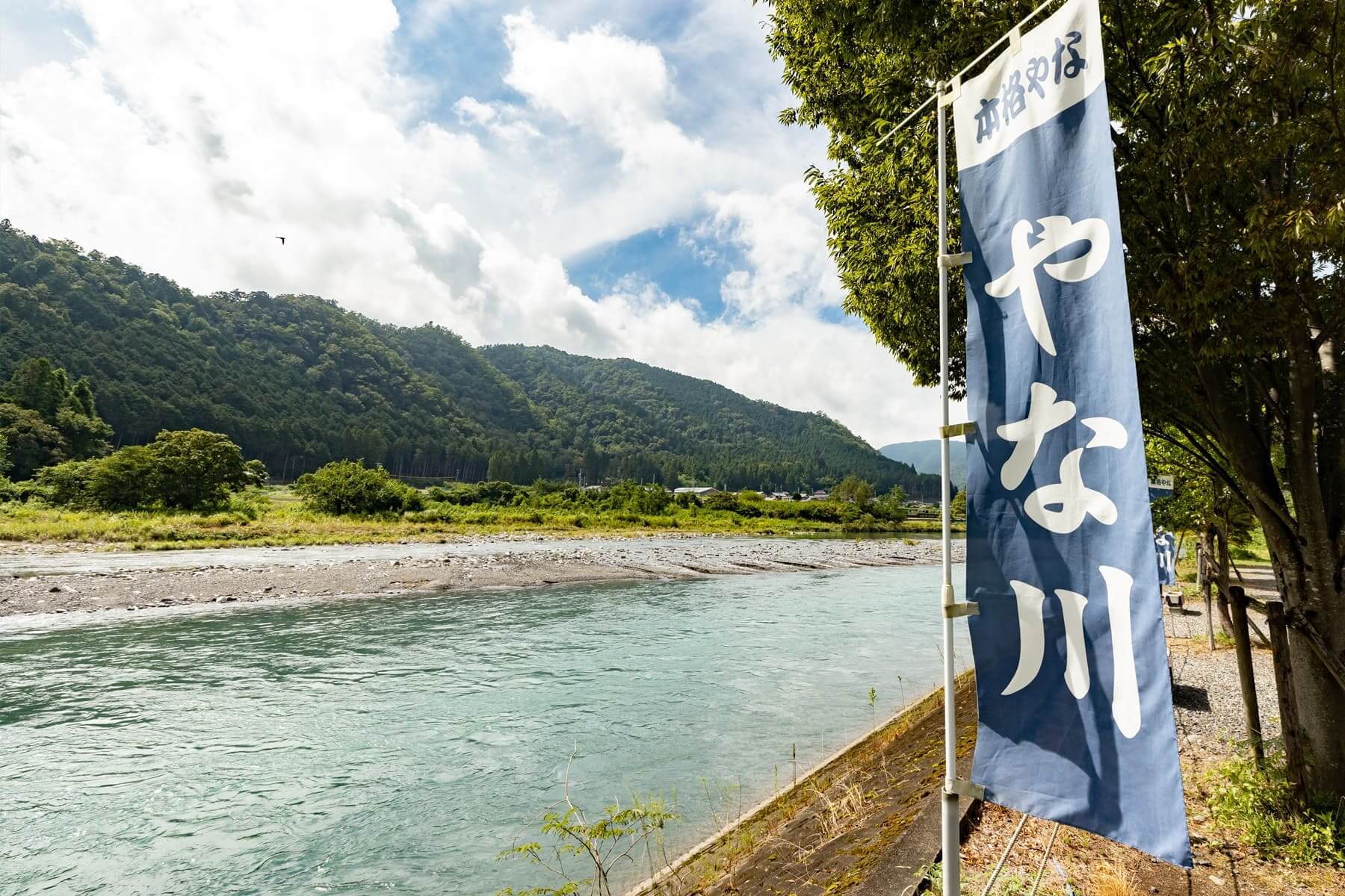 2025 岐阜近郊 ヤナ&鮎料理 おすすめ 12選