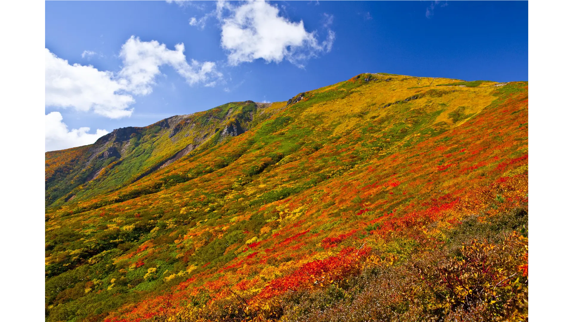 清風荘・宝紅庵もみじ公園山形 まるごと観光情報サイト「VISIT YAMAGATA」