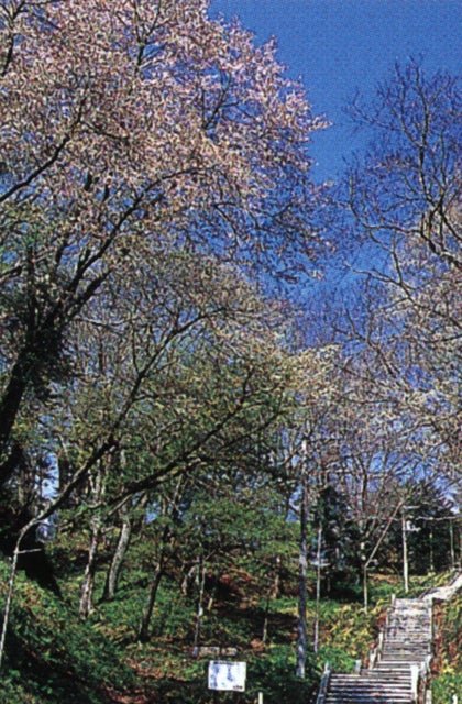 希望ヶ丘ペンション研修館５号館 オレンジの館 宿泊予約 楽天トラベル