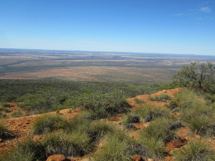ニュージーランドにある不思議な石「モエラキ・ボルダーズ」TABIZINE～人生に旅心を～
