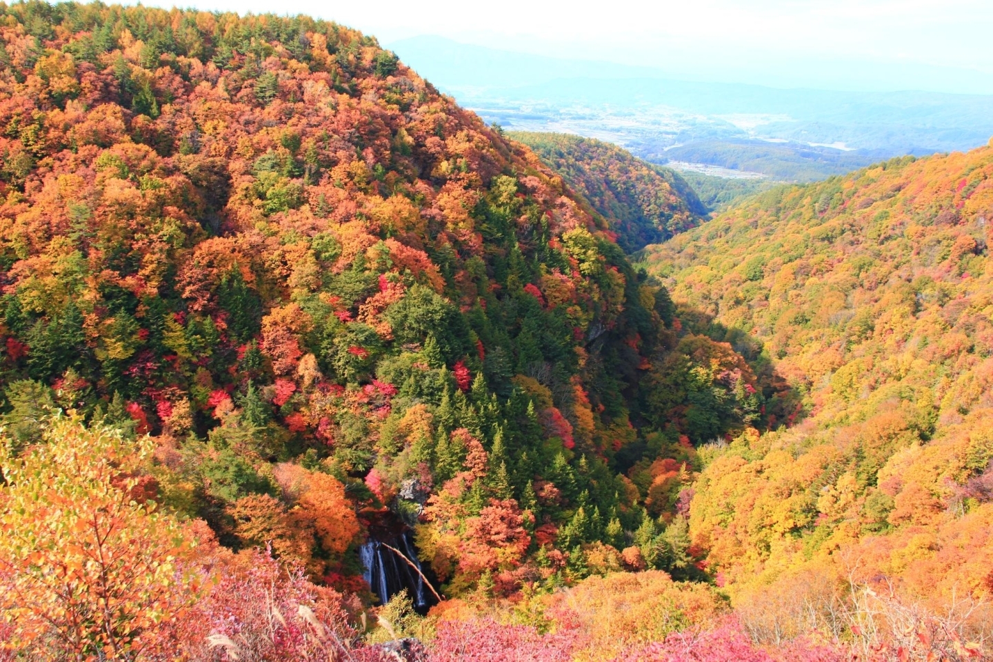 rokoさんの投稿 横谷観音展望台ことりっぷ