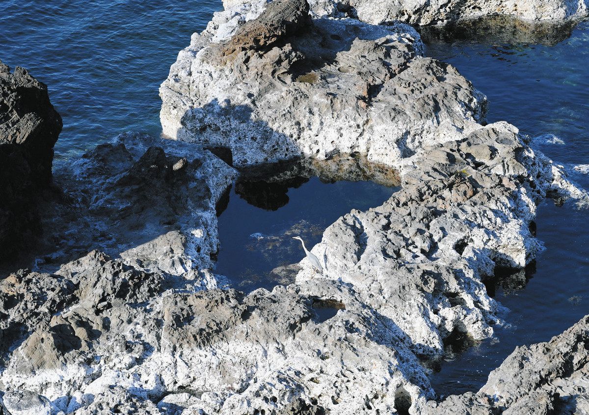 能登 聖域の岬・青の洞窟の口コミと行ってみた感想1500円は高い？ - 雨日和金沢