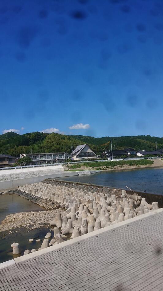 みんなが見つけた おもしろ情報 :