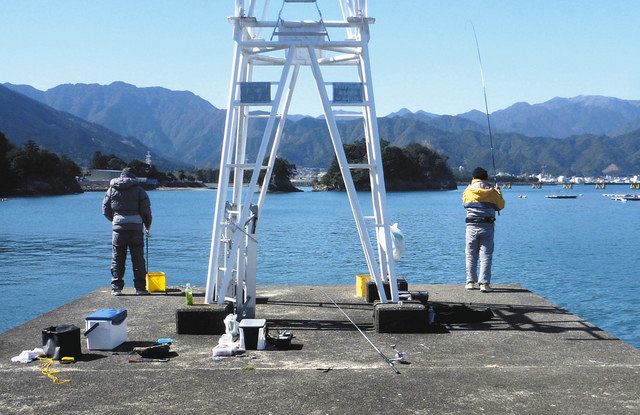 尾鷲港での堤防サビキ釣りで20cm級アジ連打 三重 トリックサビキ仕掛けに好反応TSURINEWS - Part