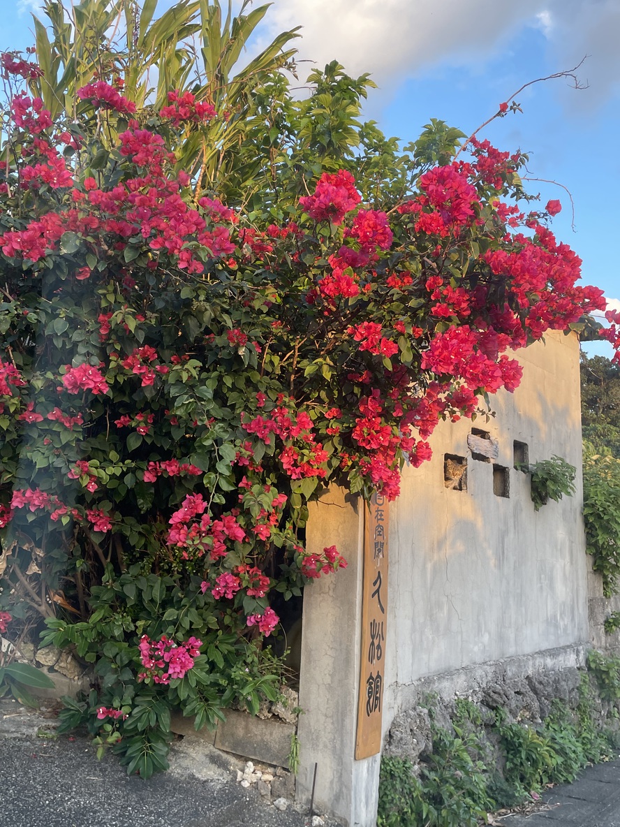 宮古島 - 管理人のうちなーライフかりゆし日記