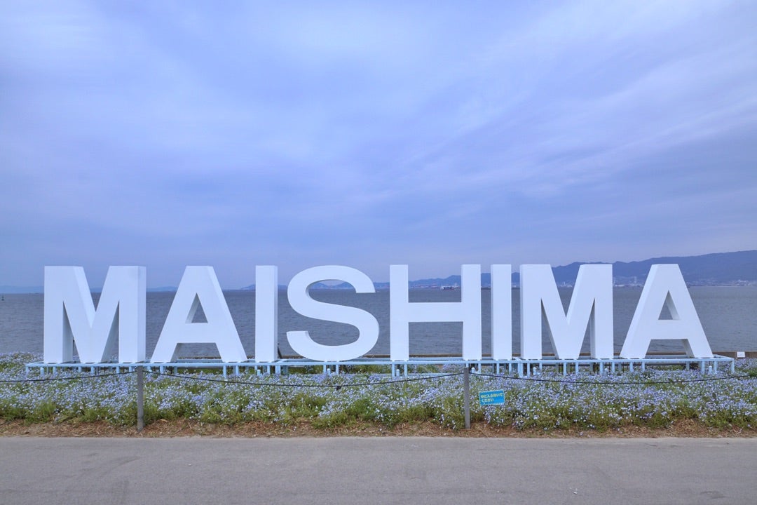 100万株のネモフィラ祭り！大阪まいしまシーサイドパークでの見頃・チケット・ランチなどの観光情報まとめ