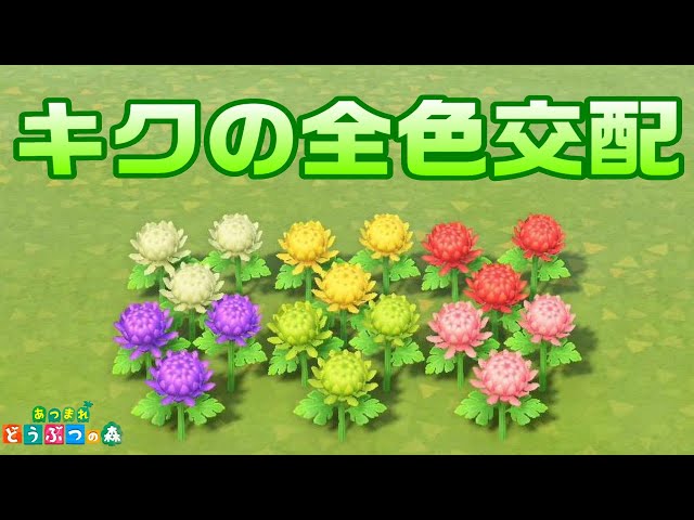 あつ森 花の増やし方 品種改良あつまれどうぶつの森hyperWiki