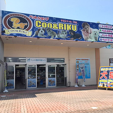 トップページ カフェレストポケット 宇土市