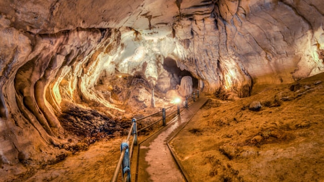 グヌン・ムル国立公園」徹底ガイド旅の大事典