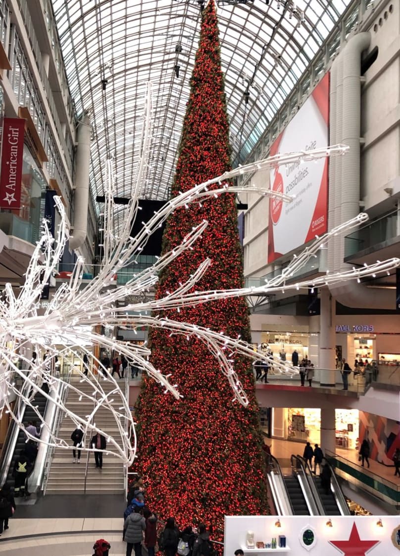 カナダのお土産 トロントのオススメお土産店 “THE CANADIAN