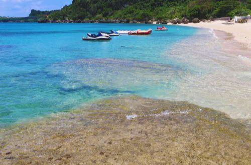 魚 トビウオおさかなポーチ 防水DON FISHER ドンフィッシャー