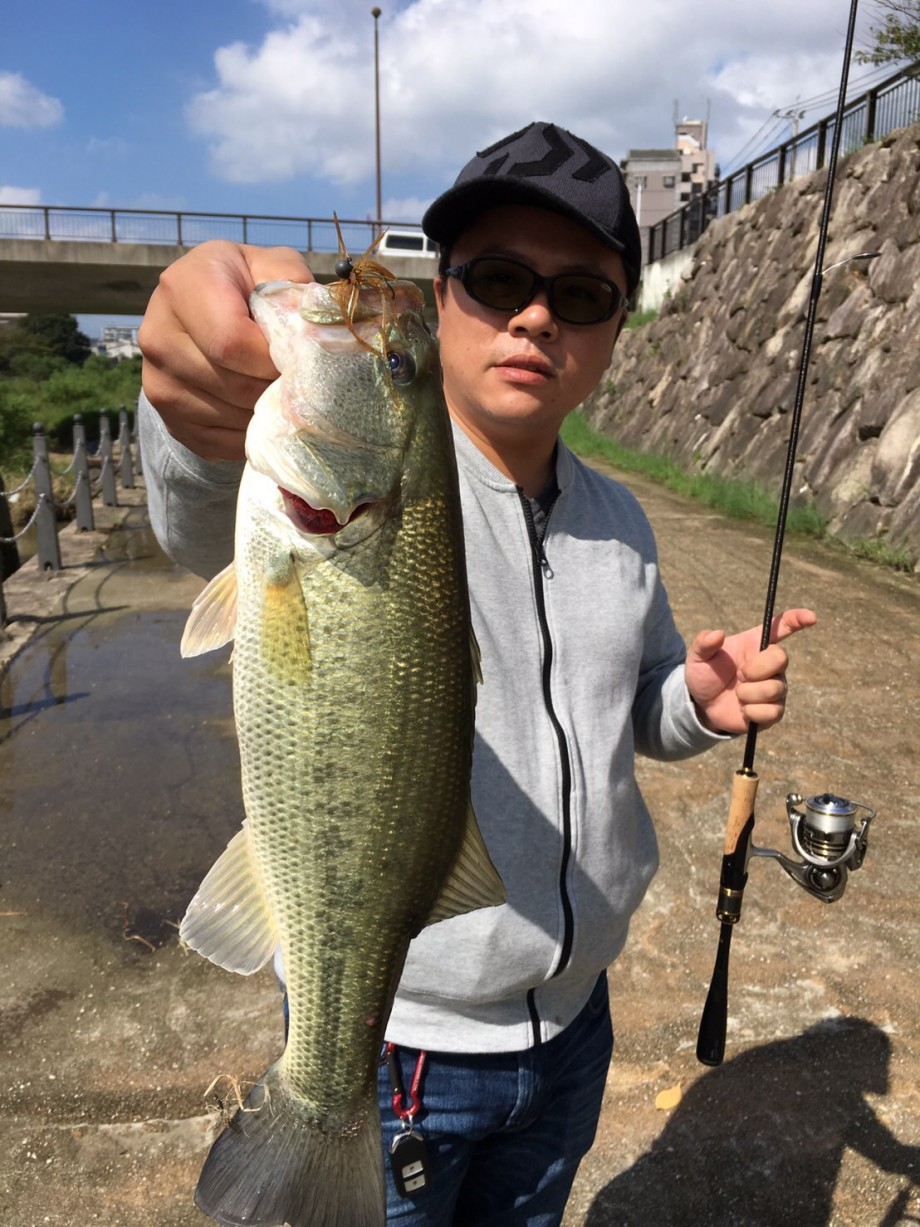 那珂川河口の釣り場はシーバスだけじゃない！青物も狙えるポイントを360度写真付きで紹介360.com