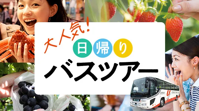 読売旅行のチラシが欲しい！すぐに見つかる方法とお得に予約する方法おとな開運女子部