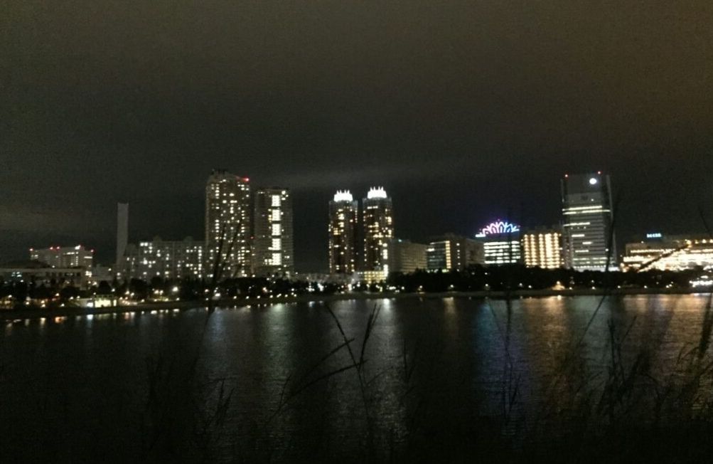 お台場海浜公園東京とりっぷ