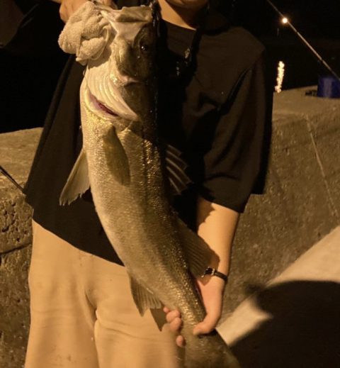 御所浦 エギング アジング 2011.11.30