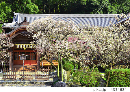 日本の風景「太宰府天満宮境内の池」壁紙1920x1440 - 壁紙館