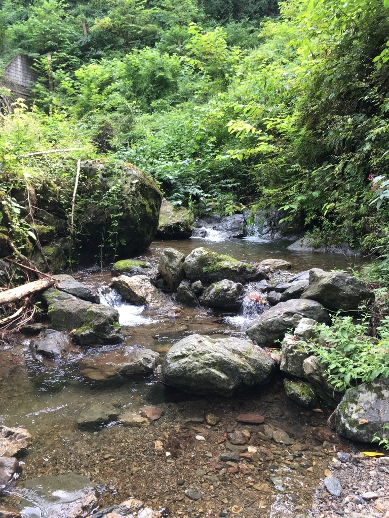 温泉隣接！ 埼玉県秩父市「武甲キャンプ場」をレビュー！のりキャンプ