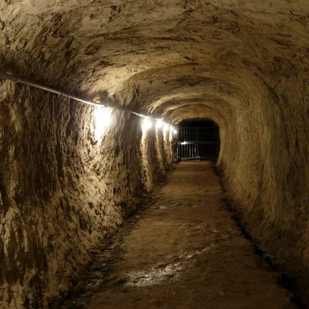 赤山地下壕 太平洋戦争前に建設か 館山のNPO研究 市の解説と食い違い：東京新聞デジタル