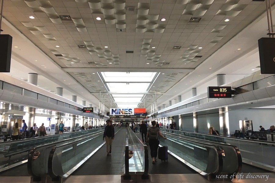 デンバー国際空港、利用案内： １ 国際線到着と国内線乗り継ぎアメリカより